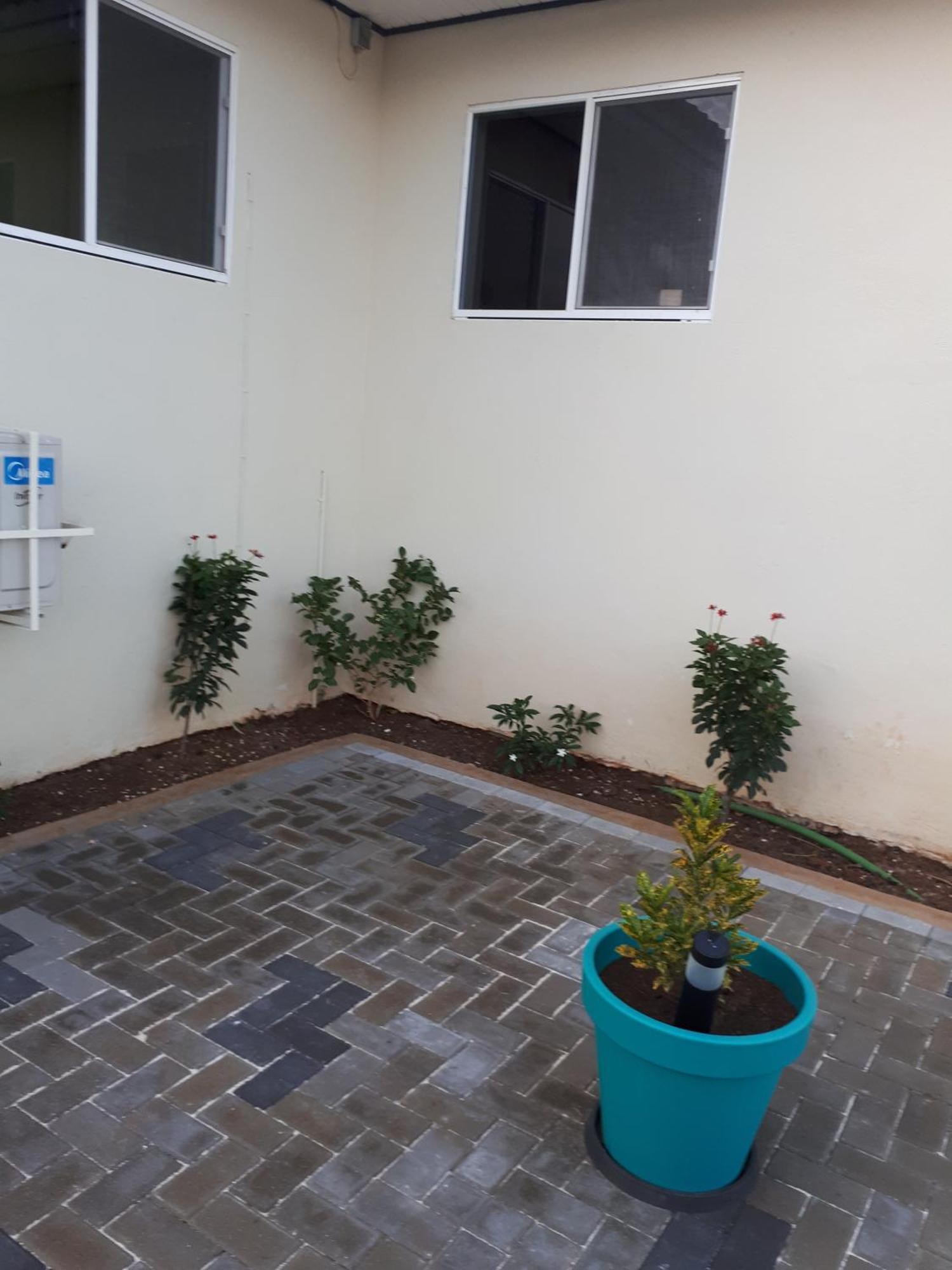 The Lush Apartment Willemstad Bagian luar foto